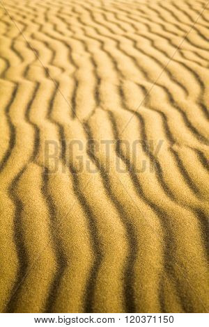 Natural Untouched Golden Sand Ripples