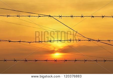 Silhouette Of Barbed Wire On Sunsrt Sky