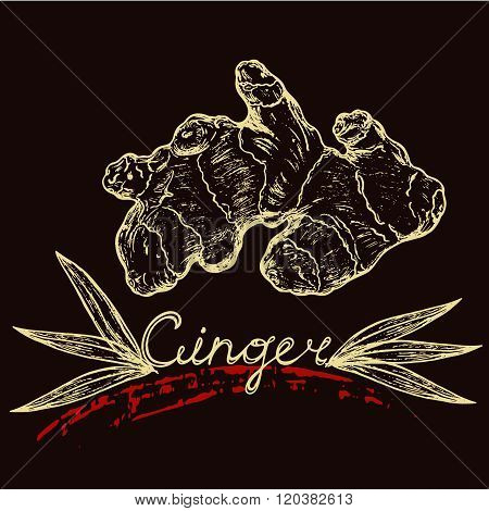 Ginger