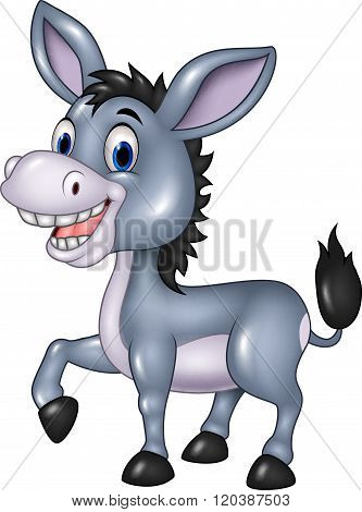 Adorable donkey isolated on white background