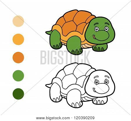 Coloring Book, Coloring Page (turtle)