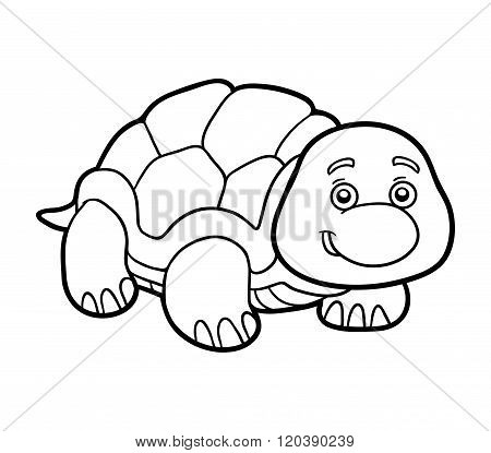 Coloring Book, Coloring Page (turtle)