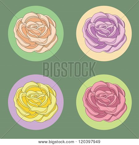 four roses in circles with diffrend colors