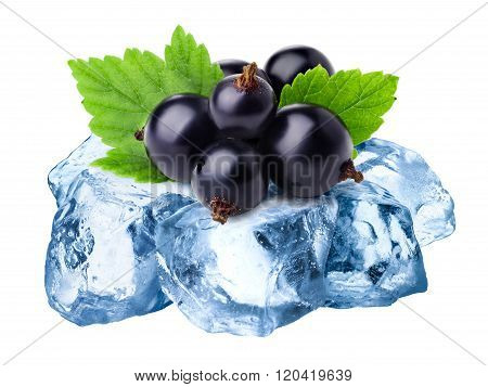 Frozen Blackcurrants Isolated