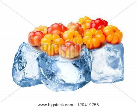 Frozen Cloudberries Isolated