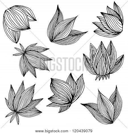 Black Petals