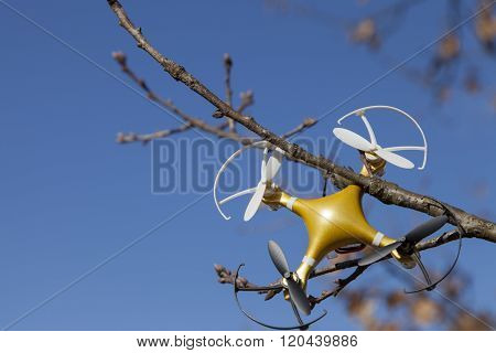 Drone quadcopter crashed on tree in city park