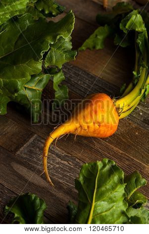 Raw Organic Golden Beets