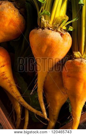 Raw Organic Golden Beets