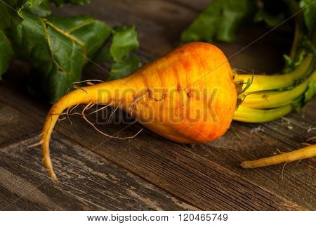 Raw Organic Golden Beets