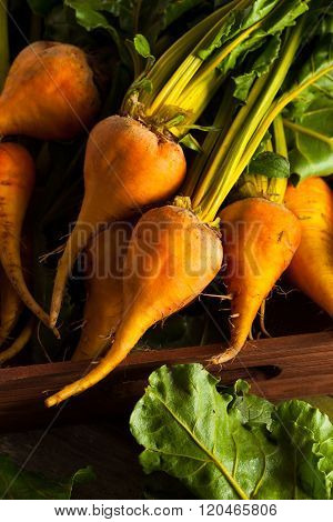 Raw Organic Golden Beets