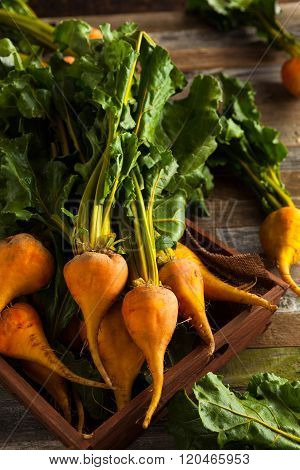 Raw Organic Golden Beets