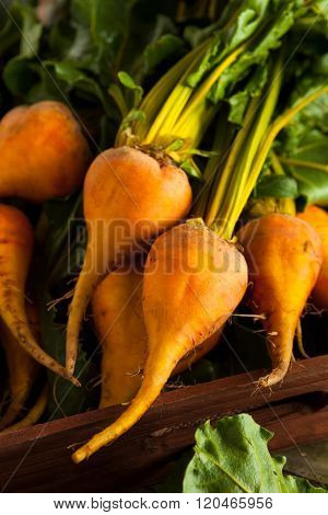 Raw Organic Golden Beets