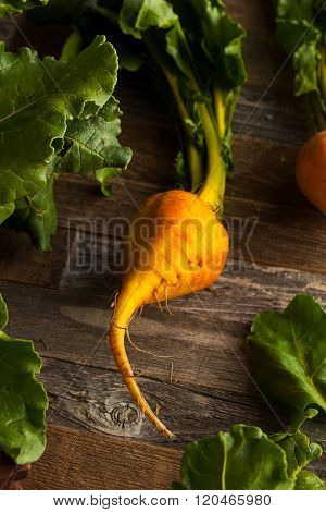 Raw Organic Golden Beets
