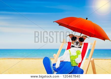 Dog Summer  Beach Chair