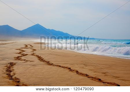 Cofete Fuerteventura Barlovento beach at Canary Islands of Spain