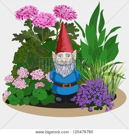 Garden Gnome At Plants