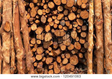 Stack of wood, wood and chacoal industrail, raw material