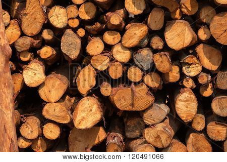 Stack of wood