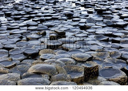 Basalt Columns Of Giants Causeway
