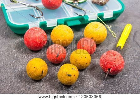 Carp Hook Boilies And Fishing Equipment - Close Up.