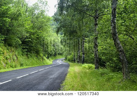 Road Of Pirineos (catalunya, Spain)