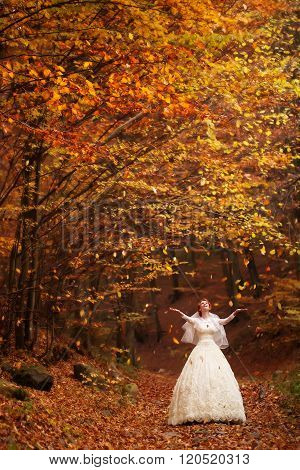Woman In Wedding Dress Outdoor
