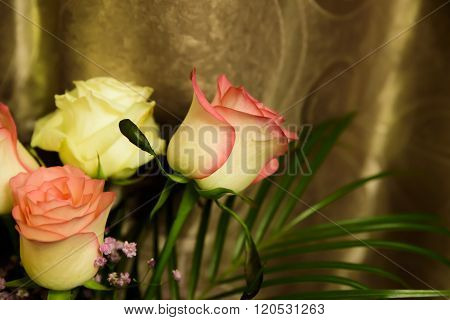 white rose