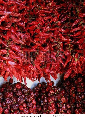 Paprika