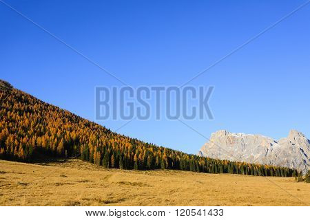 Autumn Panorama From Italian Alps