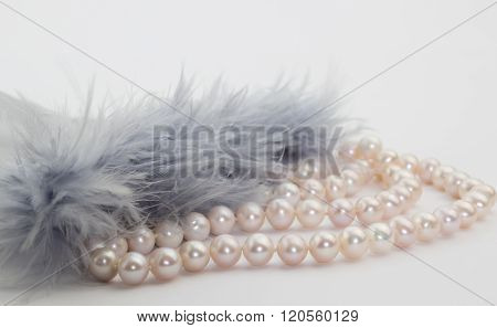 Pearl Necklace With Feathers Isolated On White