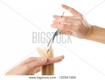 Hairdresser's hands with scissors cutting blonde strand of hair, isolated on white