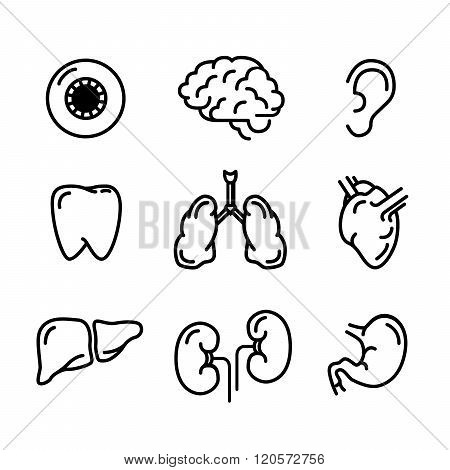 Set of black outline icons of humans organs isolated on white
