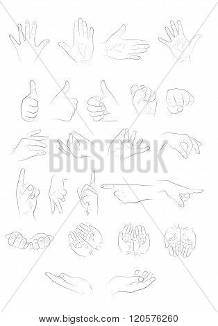 illustration of different hand positions. line art