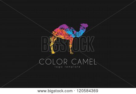 Camel logo. Color camel logo design. Animal logo. Creative logo
