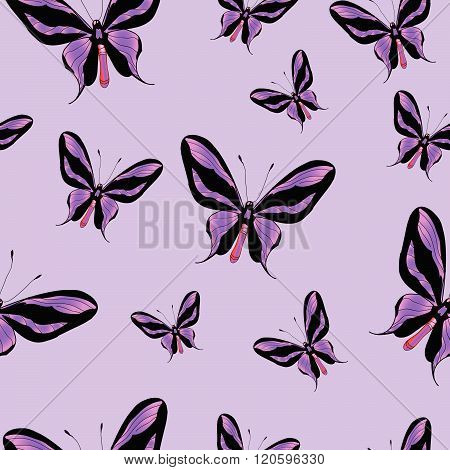 Butterfly Seamless Pattern