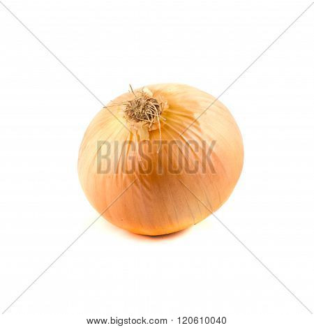 onion