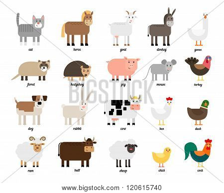 Farm animals and birds