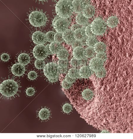 Viruses Attacking Cell