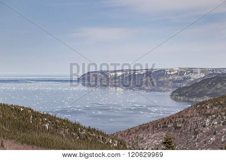 Floating Ice At Cabot Trail