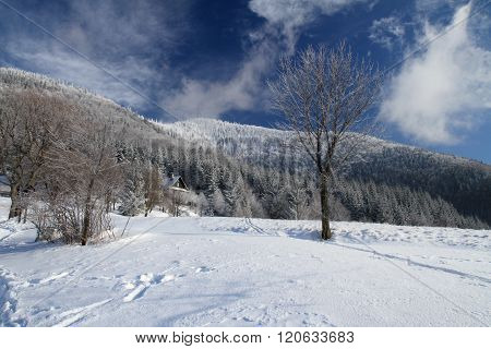 Winter Day