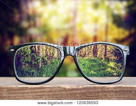  hipster glasses on a park bench or table with a forest in the background toned with a retro vintage instagram filter app or action effect 