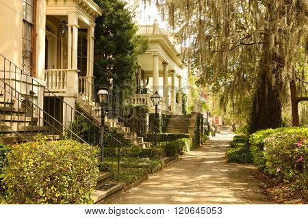 Sidewalks in Savannah