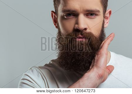 Young Bearded Man