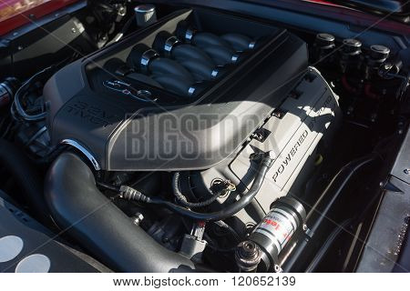 Ford 5.0L Ti-vct Engine