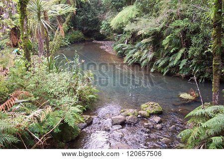 Winding river