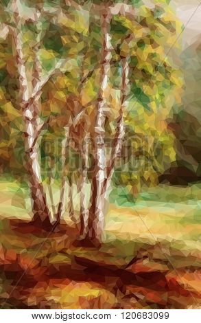 Landscape, Autumn Forest,