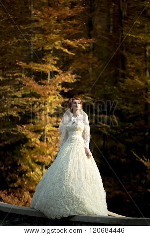 Elegant Pensive Bride Outdoor