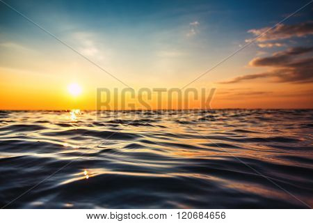 Sea Wave Close Up, Low Angle View