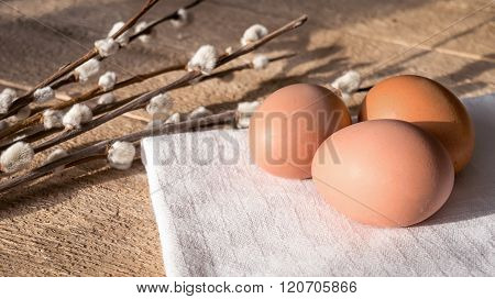 Pussy willow and eggs
